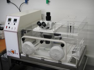 emCell microscope chambers.