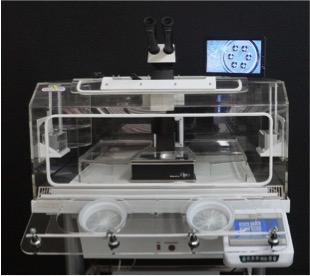 Cell-Tek Microscope Chambers